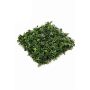Artificial ivy and boxwood hedge / mat DAOIZ, crossdoor, 20"x20"/50x50cm