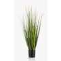Artificial foxtail grass OTIS with panicles, green, 3ft/90cm