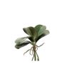 Artificial phalaenopsis leaves NEFTIS, green, 12"/30cm
