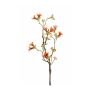 Artificial Seven Son flower of Zhejiang spray HEDDA, orange, 18"/45cm