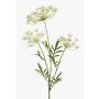 Plastic dill spray HAKIM, white, 31"/80cm