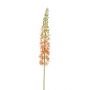 Artificial flower eremurus AOMORI, cream-light pink, 3ft/105cm