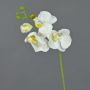 Artificial Phalaenopsis orchid spray MINA, white, 22"/55cm