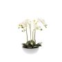 Artificial Phalaenopsis orchid MINA in ceramic pot, white, 24"/60cm