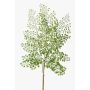 Plastic maidenhair fern spray HALIMA, green, 24"/60cm