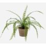 Artificial sword fern GARIBALDI in terracotta pot, green, 24"/60cm