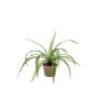 Artificial sword fern GARIBALDI in terracotta pot, green, 24"/60cm