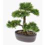 Artificial Bonsai Cedar BERTOLT in planter, 12"/30cm