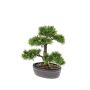 Artificial Bonsai Cedar BERTOLT in planter, 12"/30cm