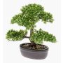 Artificial Bonsai Ficus HESPER in planter, 12"/30cm