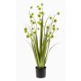 Artificial grass Allium BLAS, green, 33"/85cm