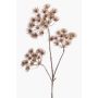 Artificial hogweed BELMIRO, brown, 3ft/100cm