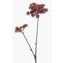 Artificial echeveria spray KALUPA, burgundy red, 20"/50cm