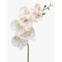 Artificial Phalaenopsis orchid spray NEITH, white, 33"/85cm