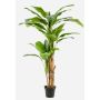 Artificial banana tree BAGHEERA, trio, 7ft/210cm