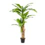 Artificial banana tree BAGHEERA, trio, 7ft/210cm