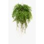 Artificial hanging basket with Boston fern NILO, soil ball, roots, 30"/75cm, Ø22"/55cm