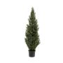 Artificial cedar BORRIS, crossdoor, green, 4ft/120cm
