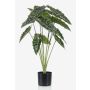 Artificial alocasia Sanderiana FIORELLA, green, 31"/80cm