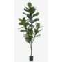 Artificial Ficus Lyrata ENRIKO, artificial stem, green, 5ft/150cm