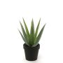 Artificial aloe variegata MARTINEZ, green, 10"/25cm, Ø7"/17cm