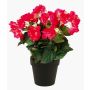 Artificial begonia DOBRADA, pink, 12"/30cm