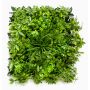 Artificial schefflera and grass mat ENZIO, crossdoor, green, 20"x20"/50x50cm