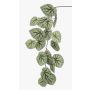 Artificial begonia rex spray MEIRA, green-grey, 4ft/110cm