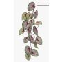 Artificial begonia rex spray MEIRA, green-light pink, 4ft/110cm