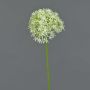 Artificial allium ARNAU, cream-green, 24"/60cm