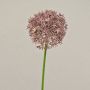 Artificial allium ARNAU, light pink, 24"/60cm