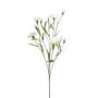 Artificial carnation KANO, cream, 28"/70cm