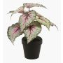 Artificial begonia rex MEIRA, green-light pink, 10"/25cm