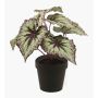 Artificial begonia rex MEIRA, green-violet, 10"/25cm
