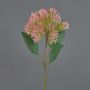 Plastic sedum flower JICAMA, light pink-white, 18"/45cm