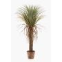 Artificial yucca FORMOSA, 4ft/110cm