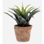 Plastic agave SEDA in terracotta pot, green, 8"/20cm, Ø10"/25cm