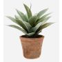 Plastic agave DESIREE in terracotta pot, green, 8"/20cm, Ø10"/25cm