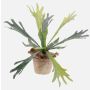 Artificial staghorn fern MARLEY in terracotta pot, green, Ø18"/45cm