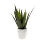 Artificial aloe variegata MARTINEZ, ceramic pot, green, 12"/30cm, Ø7"/17cm