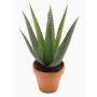 Artificial aloe variegata MARTINEZ, terracotta pot, green, 12"/30cm, Ø7"/17cm