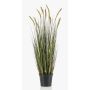 Artificial foxtail grass ANAELLA with panicles, green, 3ft/90cm