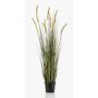Artificial foxtail grass ANAELLA with panicles, green, 4ft/120cm