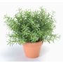 Artificial rosemary JOSHUA in clay pot, green, 8"/20cm, Ø7"/17cm