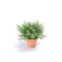Artificial rosemary JOSHUA in clay pot, green, 9"/23cm, Ø7"/17cm