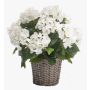 Artificial hydrangea JONE in basket, white, 18"/45cm