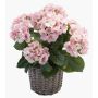 Artificial hydrangea JONE in basket, light pink, 18"/45cm