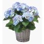 Artificial hydrangea JONE in basket, blue, 18"/45cm