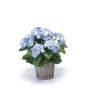 Artificial hydrangea JONE in basket, blue, 18"/45cm