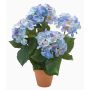 Artificial hydrangea JONE in clay pot, blue, 16"/40cm